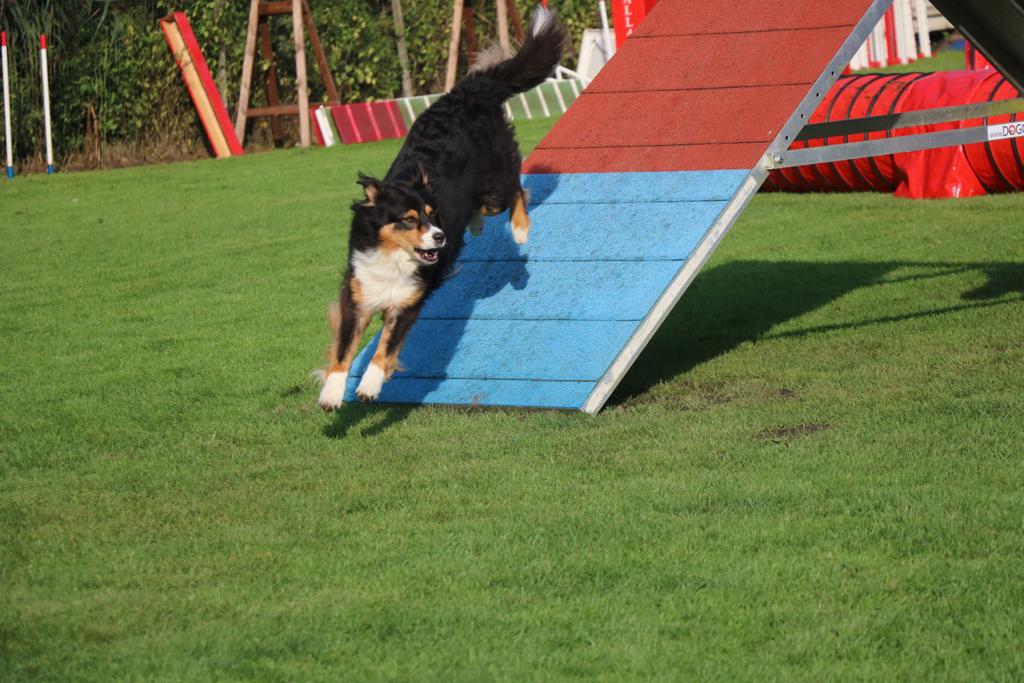Agility